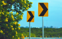 Road signs indicating caution on a curvy road