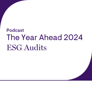 ESG Audits podcast