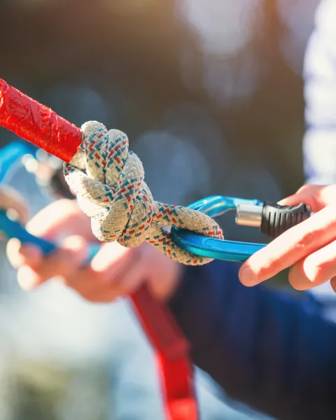 Close-up of a climbers harness connected with multiple ropes, knots and carabiners.