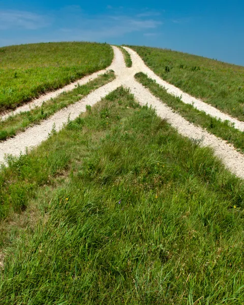 Two country roads merging into one (a reversed fork in the road).