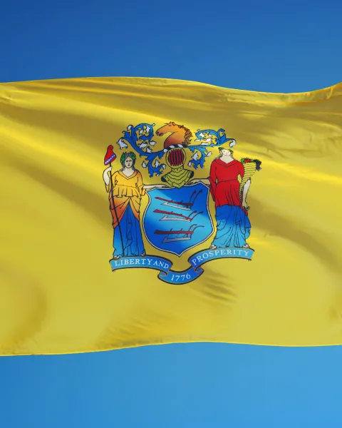 New Jersey State flag flying in the breeze.