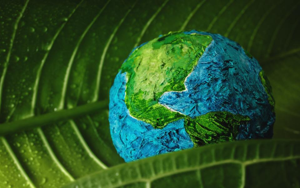 Papier mache planet earth in a leaf with pinnate venation