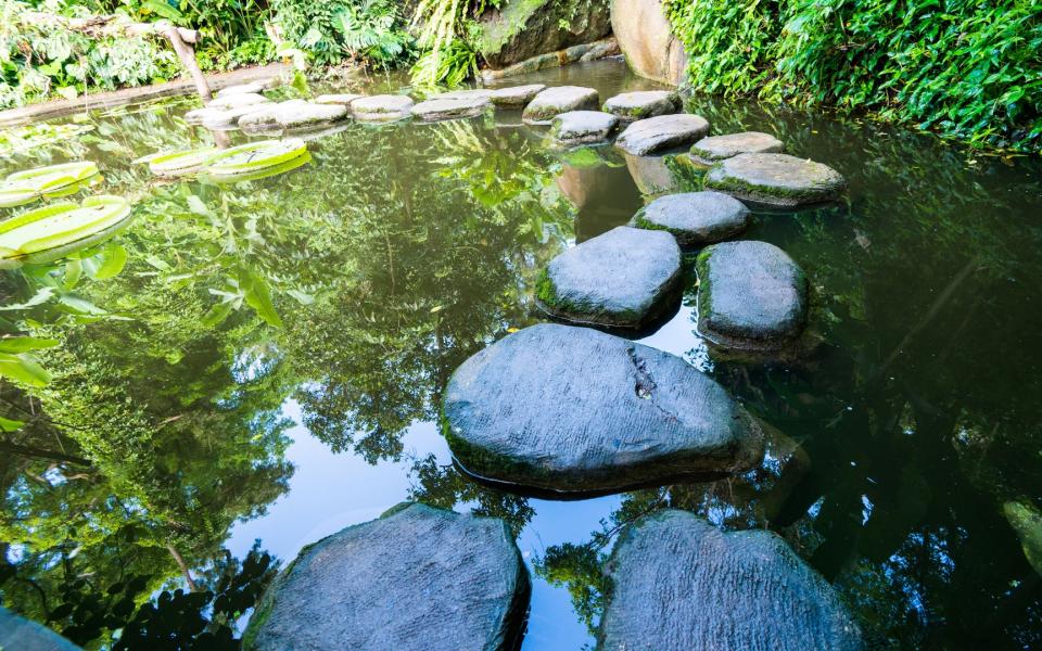 A path of stepping stones through a pond.