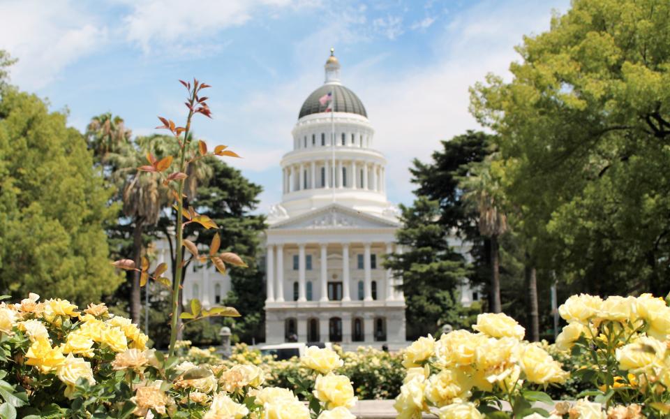 California's State Capitol Building with pretty yellow flowers in the foreground.