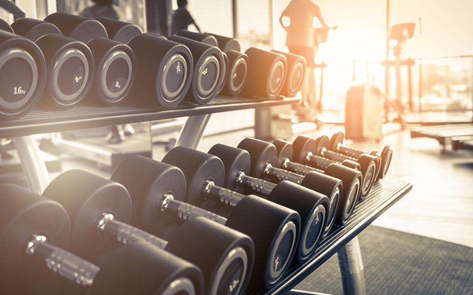 Rows of dumbbells in the gym.