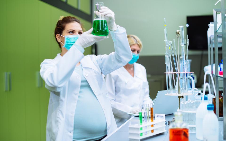 A pregnant scientist working in a laboratory.