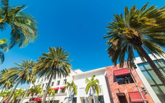 Image of a retail shopping street in Los Angeles.