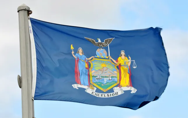 Image of New York's State flag