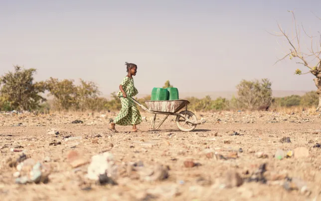 A girl pushing a wheelbarrow with water jugs in the Sudan desert.