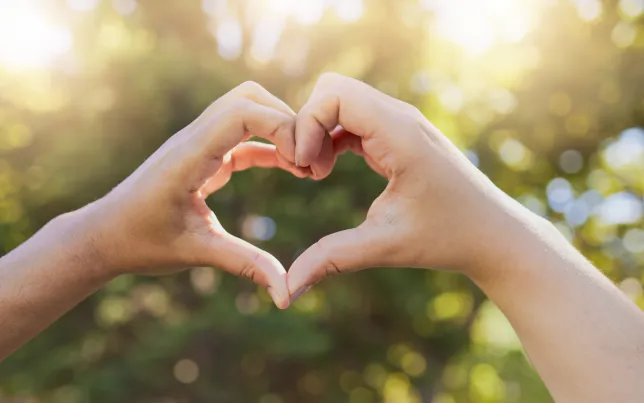 Two hands making a heart symbol.