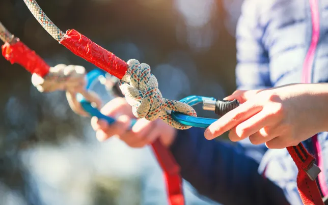 Close-up of a climbers harness connected with multiple ropes, knots and carabiners.