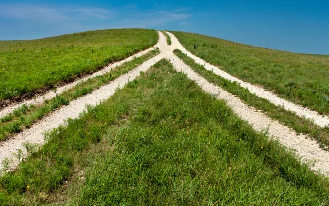 Two country roads merging into one (a reversed fork in the road).